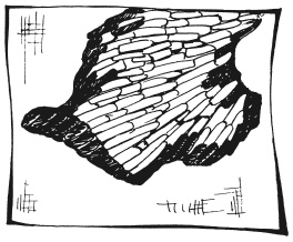 Иллюстрация к книге — Вышиваем гладью цветы и картины [autogen_ebook_id38.jpg]