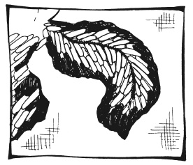 Иллюстрация к книге — Вышиваем гладью цветы и картины [autogen_ebook_id39.jpg]