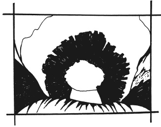 Иллюстрация к книге — Вышиваем гладью цветы и картины [autogen_ebook_id51.jpg]