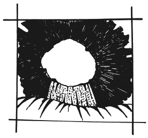 Иллюстрация к книге — Вышиваем гладью цветы и картины [autogen_ebook_id52.jpg]