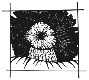 Иллюстрация к книге — Вышиваем гладью цветы и картины [autogen_ebook_id53.jpg]