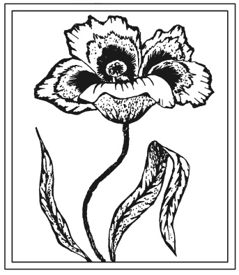 Иллюстрация к книге — Вышиваем гладью цветы и картины [autogen_ebook_id58.jpg]