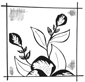 Иллюстрация к книге — Вышиваем гладью цветы и картины [autogen_ebook_id63.jpg]