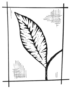 Иллюстрация к книге — Вышиваем гладью цветы и картины [autogen_ebook_id64.jpg]