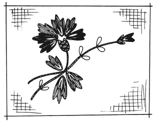 Иллюстрация к книге — Вышиваем гладью цветы и картины [autogen_ebook_id72.jpg]