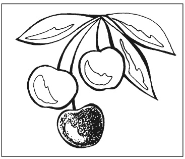 Иллюстрация к книге — Вышиваем гладью цветы и картины [autogen_ebook_id88.jpg]