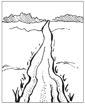 Иллюстрация к книге — Вышиваем гладью цветы и картины [autogen_ebook_id90.jpg]