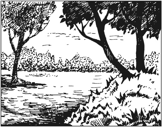 Иллюстрация к книге — Вышиваем гладью цветы и картины [autogen_ebook_id91.jpg]