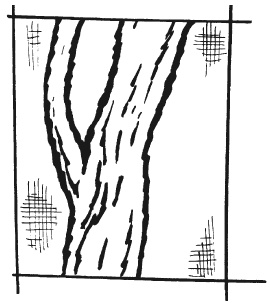 Иллюстрация к книге — Вышиваем гладью цветы и картины [autogen_ebook_id92.jpg]