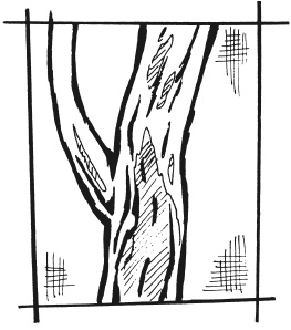 Иллюстрация к книге — Вышиваем гладью цветы и картины [autogen_ebook_id94.jpg]