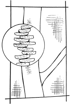 Иллюстрация к книге — Вышиваем гладью цветы и картины [autogen_ebook_id96.jpg]