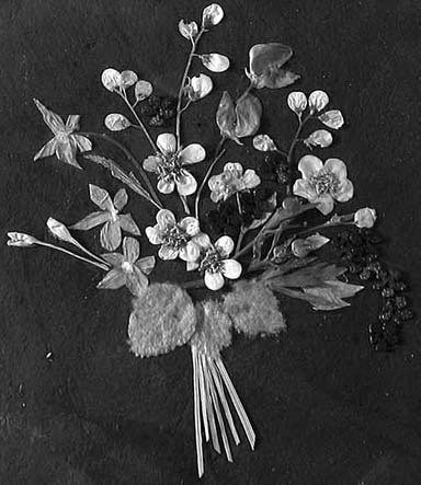 Иллюстрация к книге — Декоративные изделия из природного материала [autogen_ebook_id0.jpg]