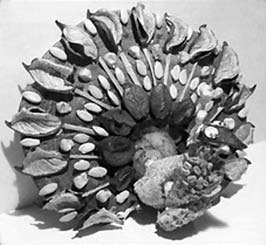 Иллюстрация к книге — Декоративные изделия из природного материала [autogen_ebook_id22.jpg]