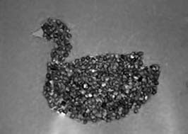 Иллюстрация к книге — Декоративные изделия из природного материала [autogen_ebook_id24.jpg]