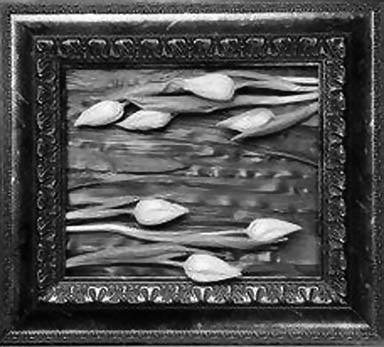 Иллюстрация к книге — Декоративные изделия из природного материала [autogen_ebook_id27.jpg]