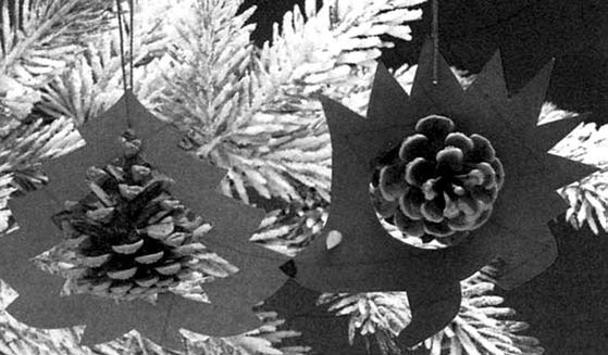 Иллюстрация к книге — Декоративные изделия из природного материала [autogen_ebook_id43.jpg]