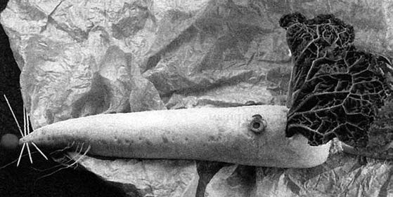 Иллюстрация к книге — Декоративные изделия из природного материала [autogen_ebook_id44.jpg]