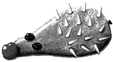 Иллюстрация к книге — Декоративные изделия из природного материала [autogen_ebook_id45.jpg]