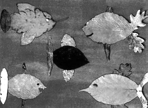 Иллюстрация к книге — Декоративные изделия из природного материала [autogen_ebook_id7.jpg]