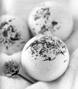 Иллюстрация к книге — Декоративные изделия из природного материала [autogen_ebook_id86.jpg]