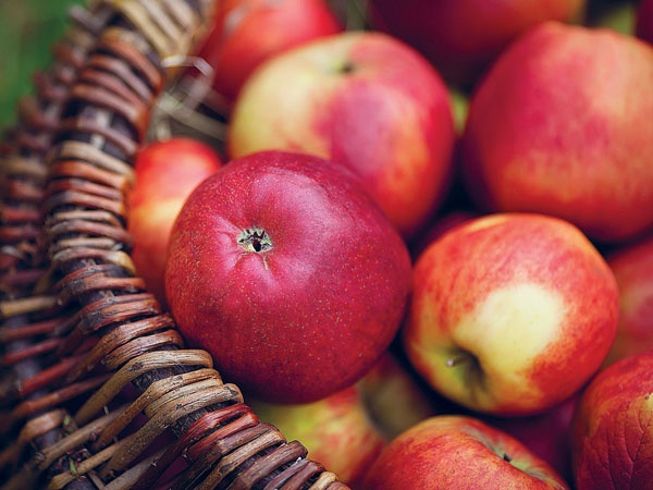 Иллюстрация к книге — Яблони и груши. Секреты урожая от Октябрины Ганичкиной [_32.jpg]