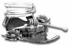 Иллюстрация к книге — 500 советов пчеловоду [i_006.jpg]