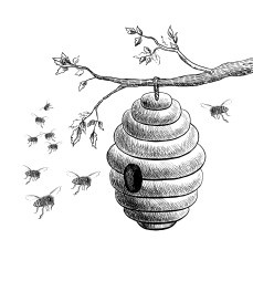 Иллюстрация к книге — Пчеловодство. Первые шаги к прибыльному хозяйству [i_011.jpg]