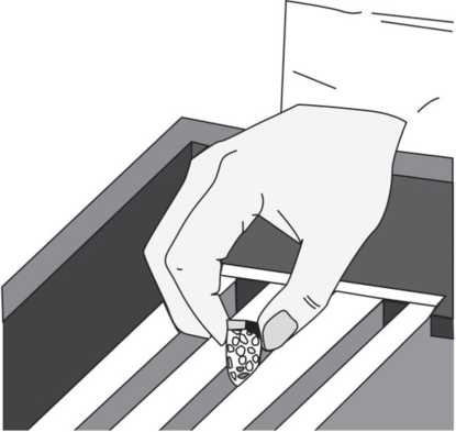 Иллюстрация к книге — Пчеловодство. Первые шаги к прибыльному хозяйству [i_028.jpg]