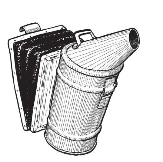 Иллюстрация к книге — Пчеловодство. Первые шаги к прибыльному хозяйству [i_039.jpg]