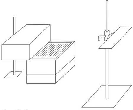 Иллюстрация к книге — Пчеловодство. Первые шаги к прибыльному хозяйству [i_048.jpg]