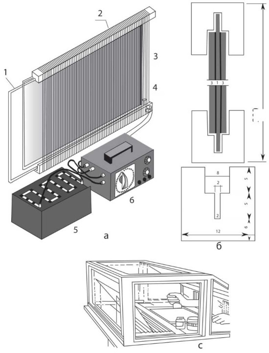 Иллюстрация к книге — Пчеловодство. Первые шаги к прибыльному хозяйству [i_073.jpg]