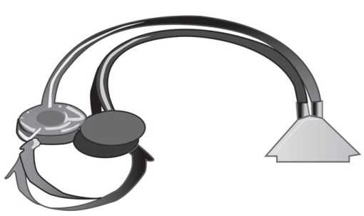 Иллюстрация к книге — Пчеловодство. Первые шаги к прибыльному хозяйству [i_074.jpg]