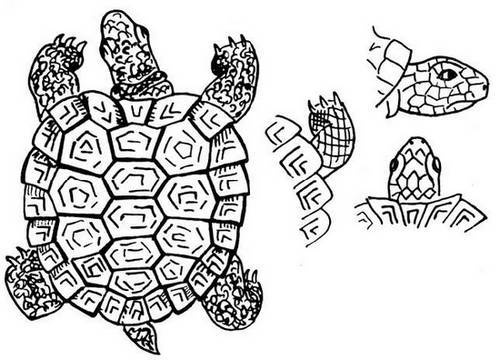 Иллюстрация к книге — Уроки искусного резчика. Вырезаем из дерева фигурки людей и животных, посуду, статуэтки [i_200.jpg]