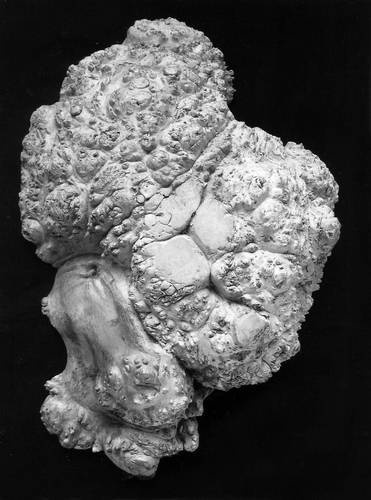 Иллюстрация к книге — Уроки искусного резчика. Вырезаем из дерева фигурки людей и животных, посуду, статуэтки [i_256.jpg]