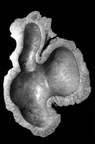 Иллюстрация к книге — Уроки искусного резчика. Вырезаем из дерева фигурки людей и животных, посуду, статуэтки [i_257.jpg]