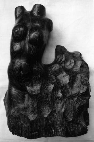 Иллюстрация к книге — Уроки искусного резчика. Вырезаем из дерева фигурки людей и животных, посуду, статуэтки [i_271.jpg]