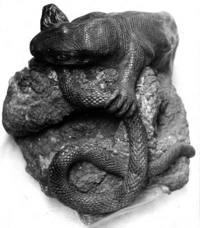 Иллюстрация к книге — Уроки искусного резчика. Вырезаем из дерева фигурки людей и животных, посуду, статуэтки [i_278.jpg]