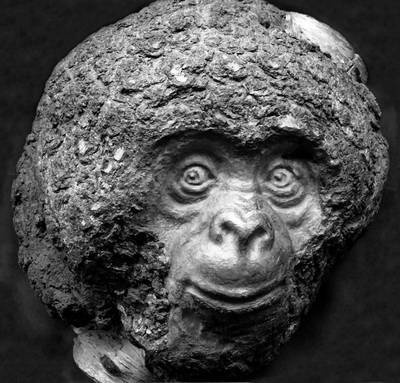 Иллюстрация к книге — Уроки искусного резчика. Вырезаем из дерева фигурки людей и животных, посуду, статуэтки [i_279.jpg]