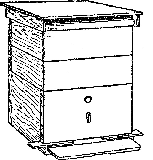 Иллюстрация к книге — Азбука пчеловода. Руководство по разведению пчел на приусадебном участке [_042_1.jpg]