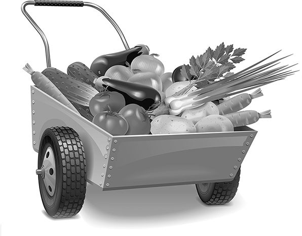 Иллюстрация к книге — Энциклопедия урожайного огорода на разумной почве [i_001.jpg]