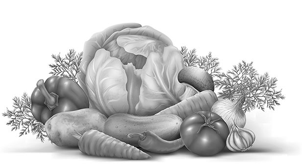 Иллюстрация к книге — Энциклопедия урожайного огорода на разумной почве [i_002.jpg]