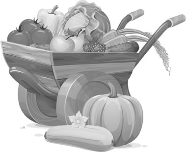 Иллюстрация к книге — Энциклопедия урожайного огорода на разумной почве [i_007.jpg]