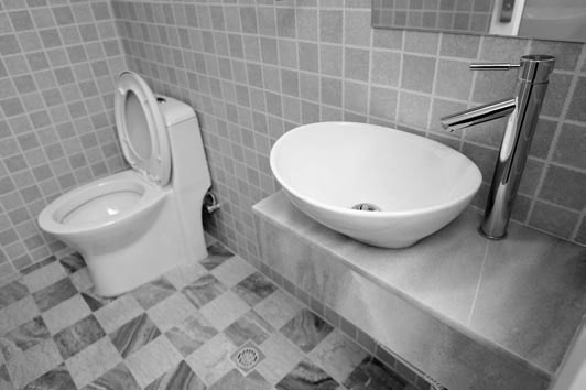 Иллюстрация к книге — Сантехнические работы своими руками. Уроки домашнего мастера [i_063.jpg]