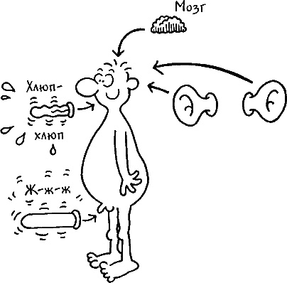 Иллюстрация к книге — Ваш мужчина. Инструкция по эксплуатации [_29_1.jpg]