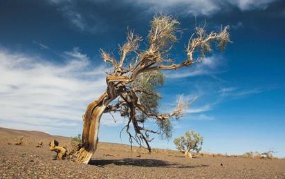 Иллюстрация к книге — Travel-журналистика. Путешествуйте и зарабатывайте [i_005.jpg]