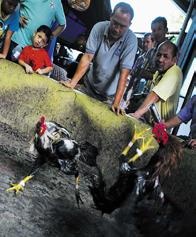 Иллюстрация к книге — Travel-журналистика. Путешествуйте и зарабатывайте [i_064.jpg]