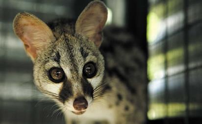 Иллюстрация к книге — Travel-журналистика. Путешествуйте и зарабатывайте [i_073.jpg]