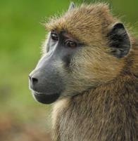 Иллюстрация к книге — Travel-журналистика. Путешествуйте и зарабатывайте [i_074.jpg]