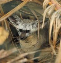 Иллюстрация к книге — Travel-журналистика. Путешествуйте и зарабатывайте [i_075.jpg]