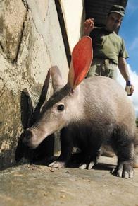 Иллюстрация к книге — Travel-журналистика. Путешествуйте и зарабатывайте [i_076.jpg]